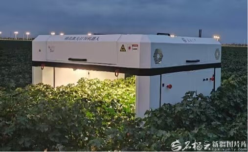 mmexport1757140324652