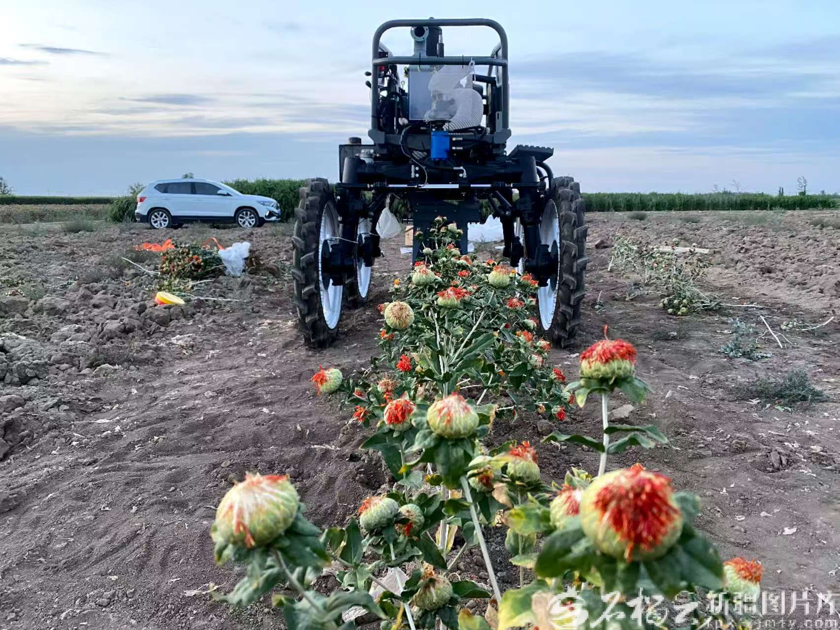 mmexport1757140317054