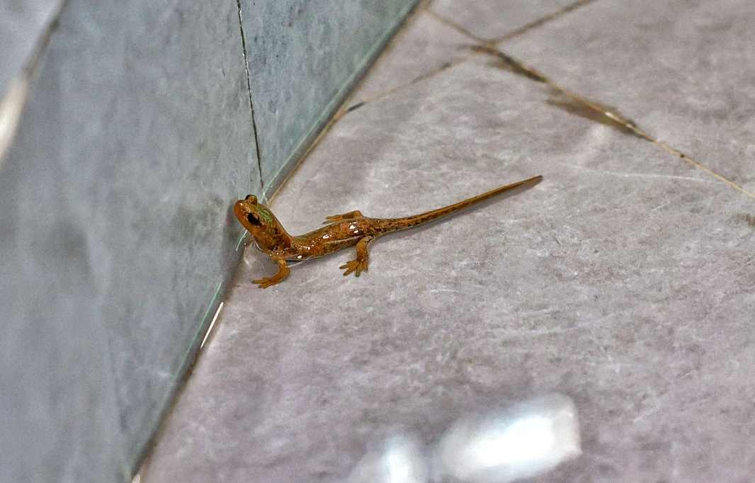 6044596514701027 5d65695a@c59bc431.png