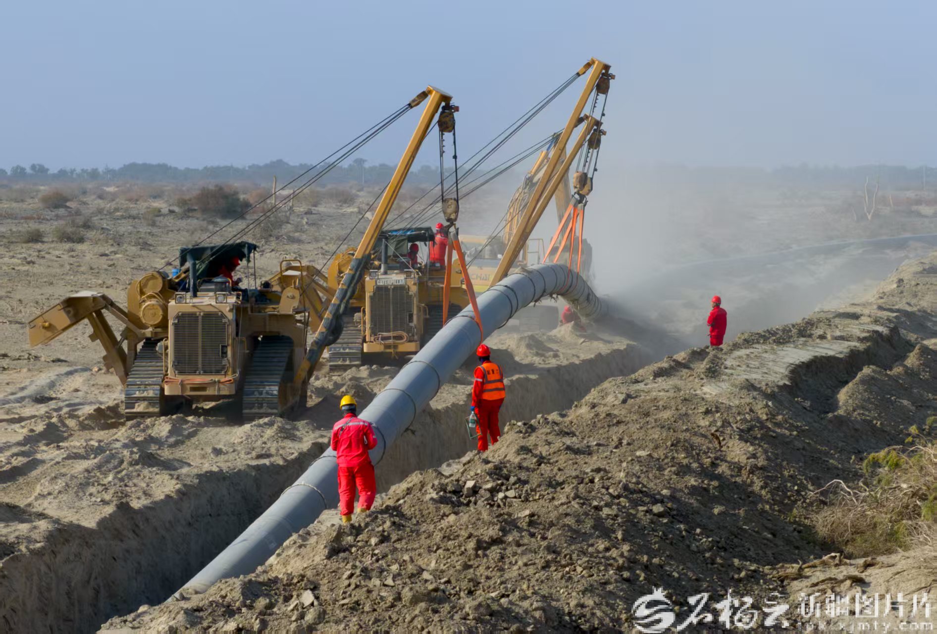 mmexport1764469526421