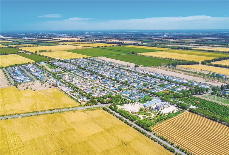 昌吉州：党建引领聚势赋能 乡村振兴提质增效