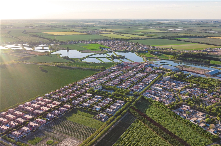 凝心聚力促振兴 踔厉奋发绘新篇