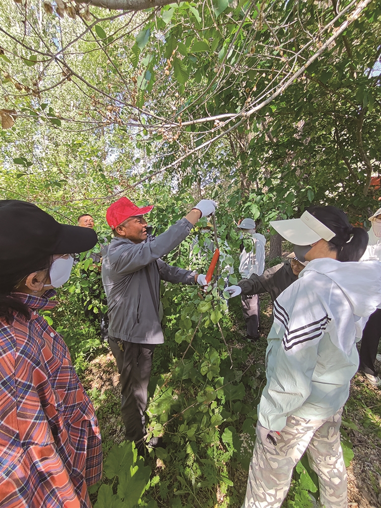 吉木萨尔县林草局党建 技术帮扶 服务“三农”显担当