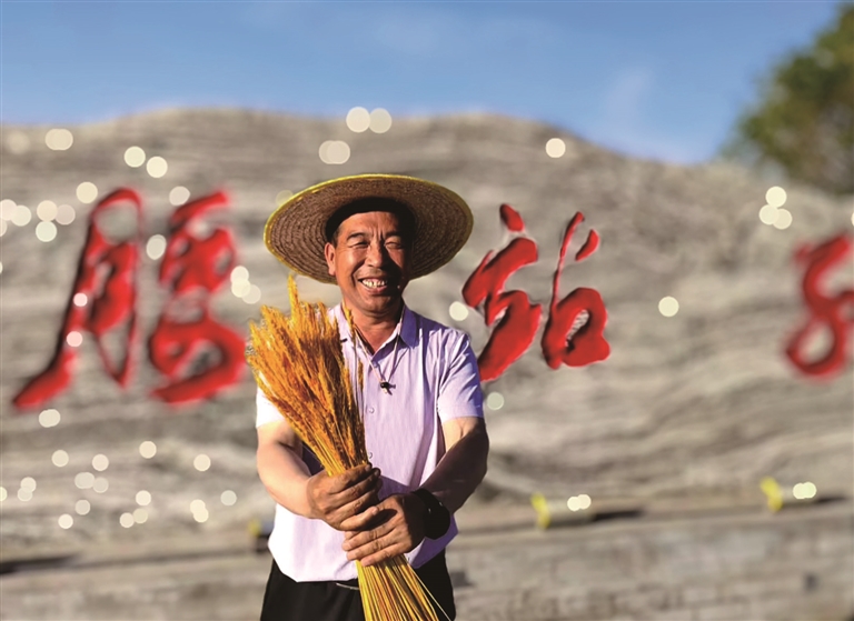 高质量发展调研行 | 麦田里“长”出亿元村