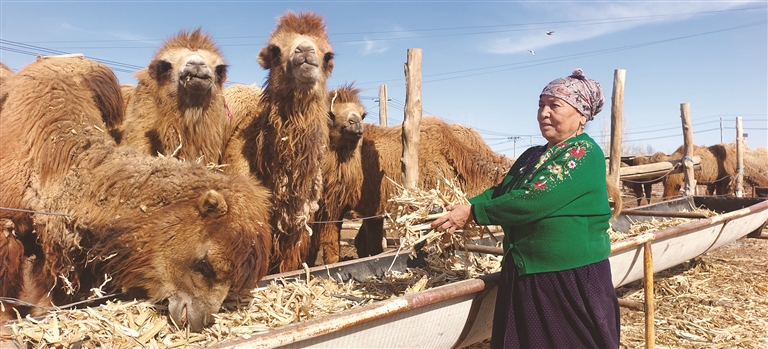 口述庭州 文史专栏 | 庭州模范——佐合热·玉苏普：我的多彩人生是奋斗、奉献与幸福