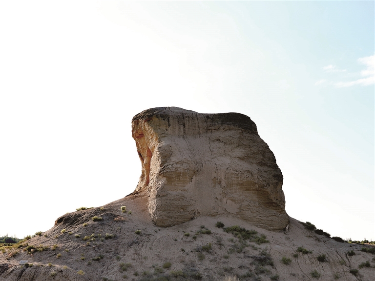 千年瑰宝焕新生