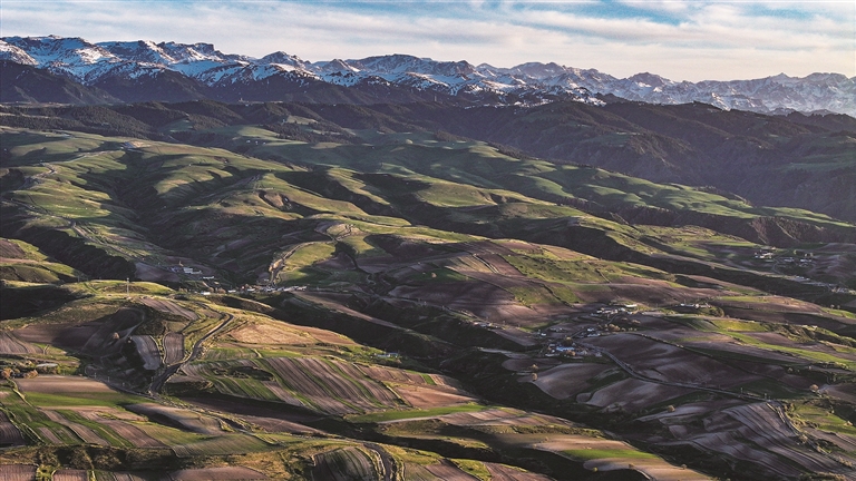 航拍新疆·走进昌吉 | 木垒县平顶山村：万亩旱田孕育“美丽经济”