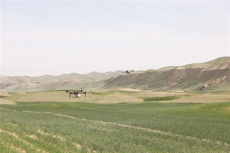 阜康市打响蝗虫防控“科技战” 实现虫害控制与生态保护双赢