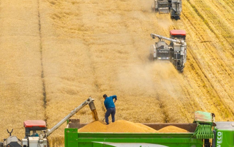 蓄足“水动力” 多地抗旱保粮一线观察