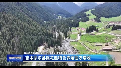 吉木萨尔县梅花鹿特色养殖助农增收