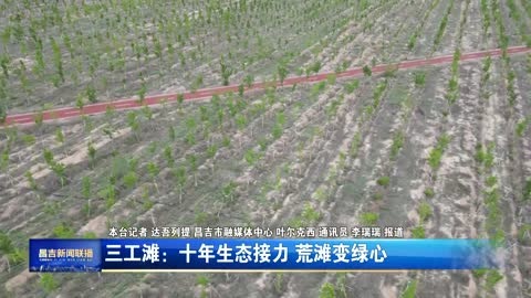三工滩：十年生态接力 荒滩变绿心