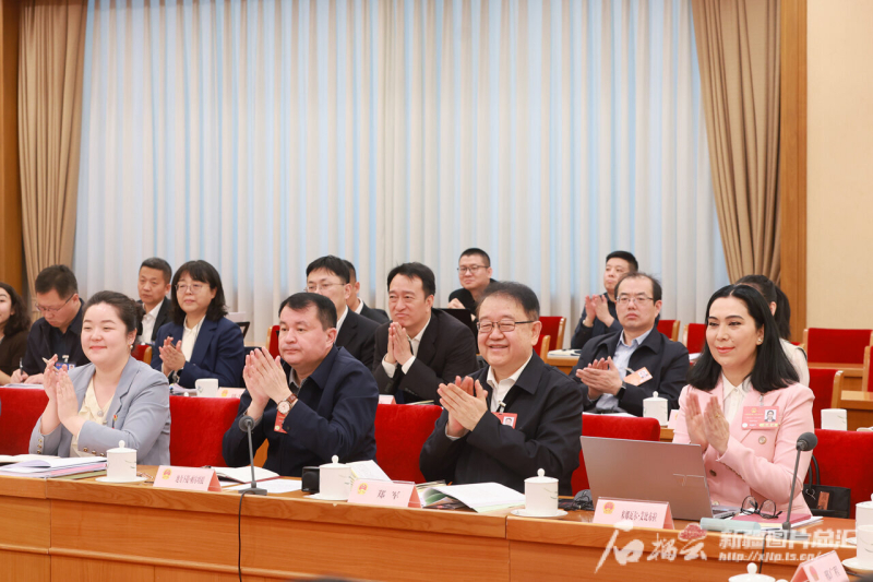 新疆团审议政府工作报告