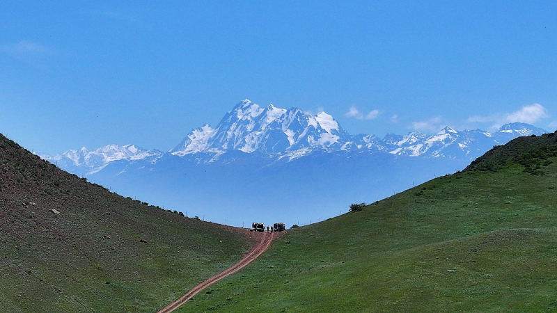六月昌吉的云端牧歌！每一帧都是屏保级治愈